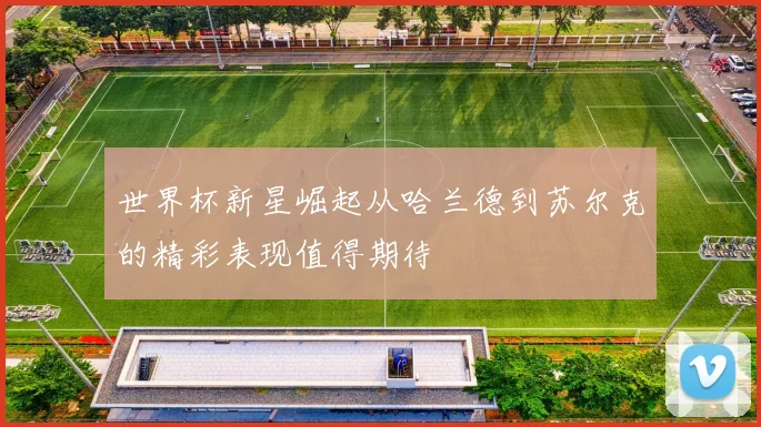 世界杯新星崛起从哈兰德到苏尔克的精彩表现值得期待