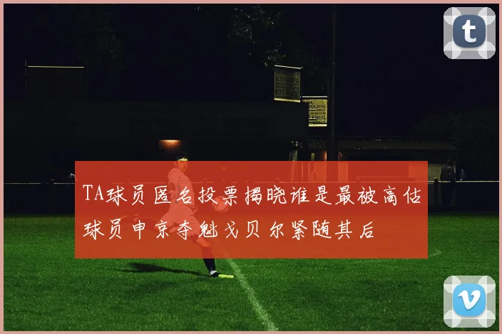 TA球员匿名投票揭晓谁是最被高估球员申京夺魁戈贝尔紧随其后
