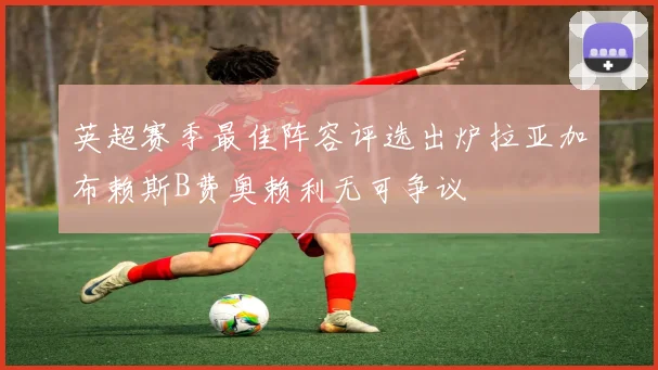 英超赛季最佳阵容评选出炉拉亚加布赖斯B费奥赖利无可争议
