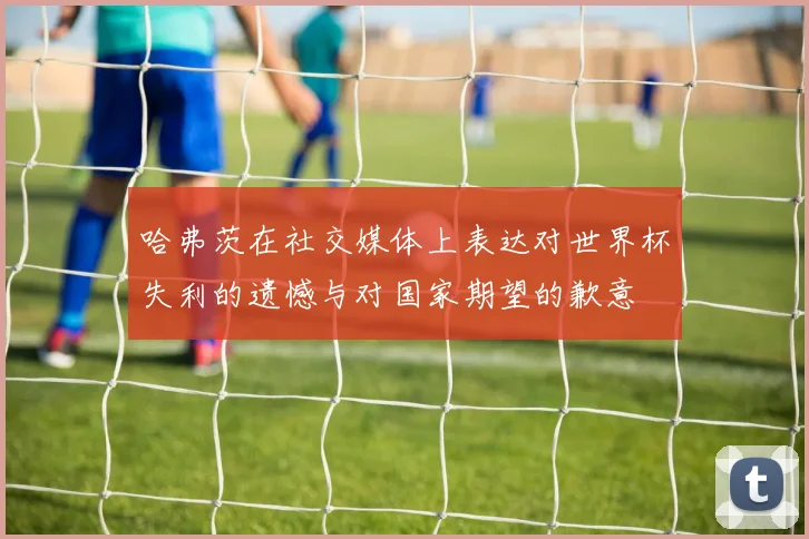 哈弗茨在社交媒体上表达对世界杯失利的遗憾与对国家期望的歉意